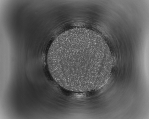 X0000095950187200802081305