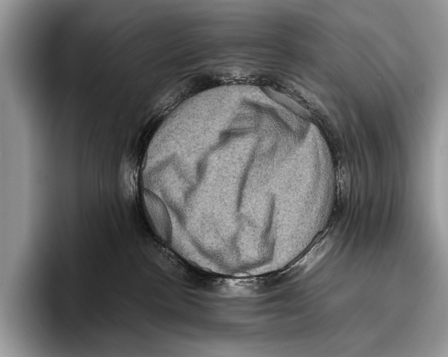 X0000095950188200802081305