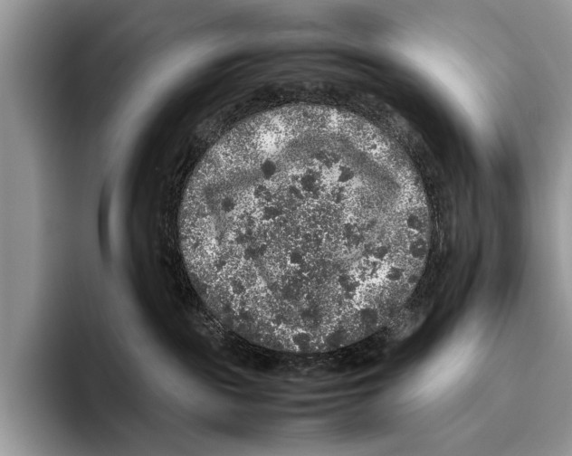 X0000095950189200802081305