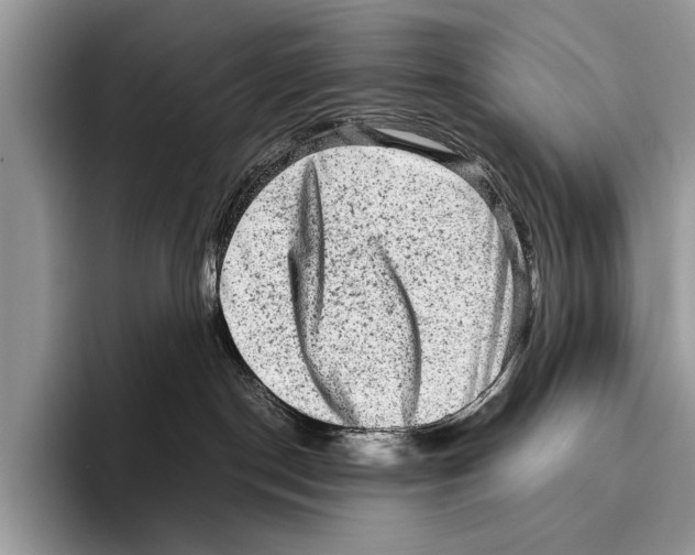 X0000095950190200802081305