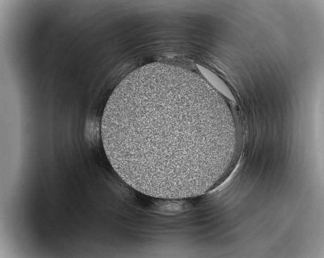 X0000095950191200802081305