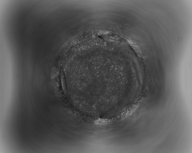 X0000095950192200802081305