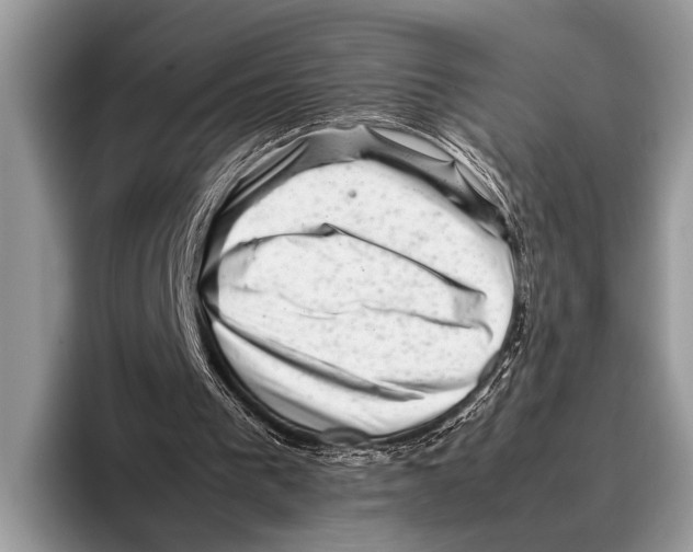 X0000095950193200802081304