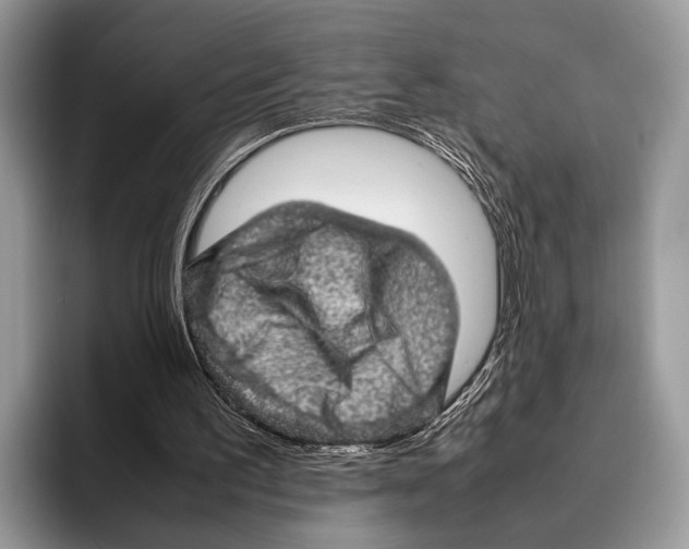 X0000095950195200802081304