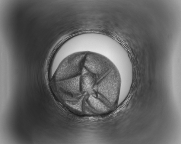 X0000095950197200802081304