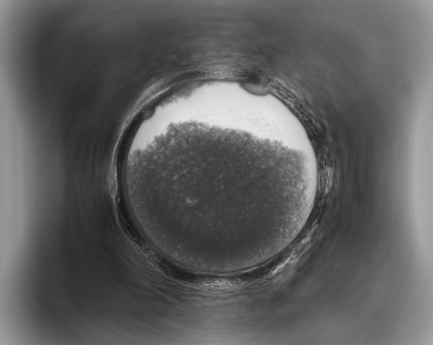 X0000095950198200802081304