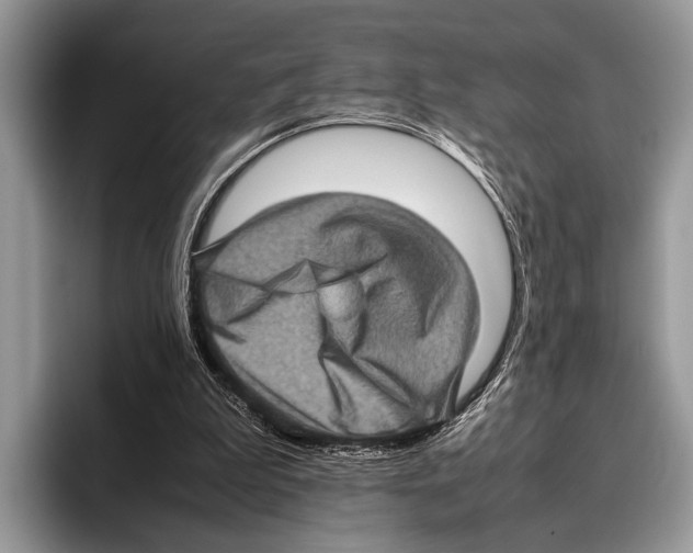 X0000095950199200802081304