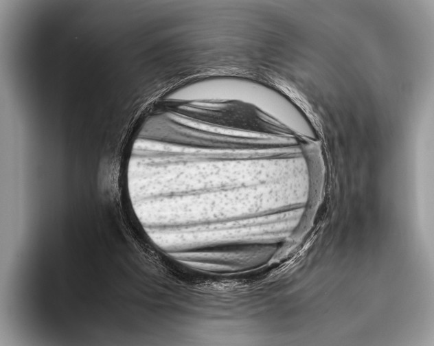 X0000095950201200802081304