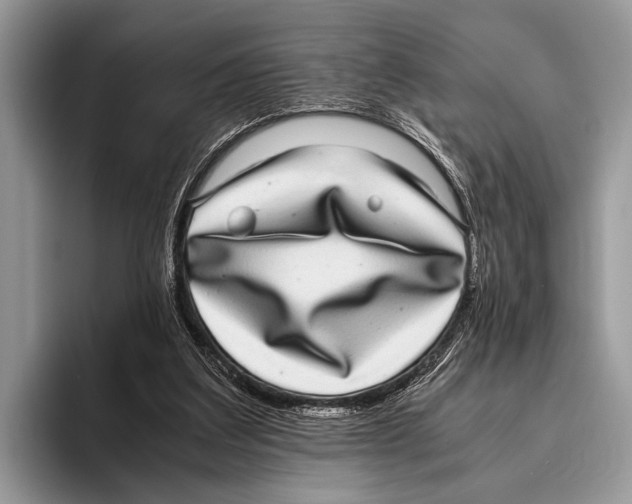 X0000095950203200802081304