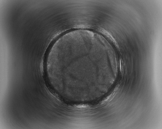 X0000095950204200802081304