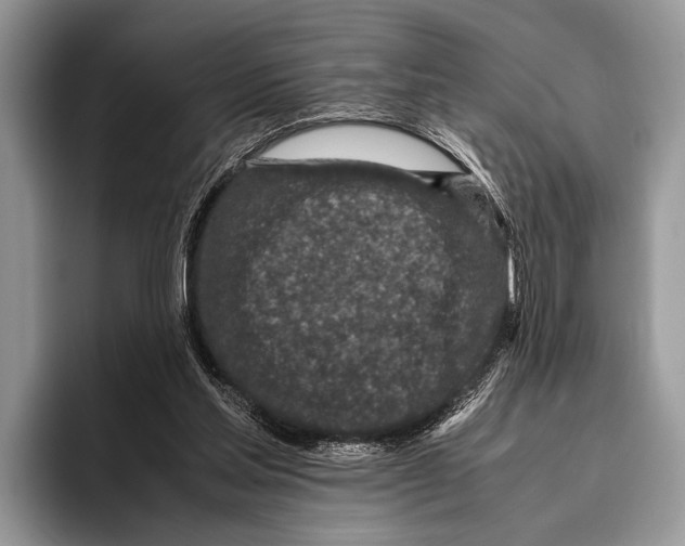 X0000095950205200802081304