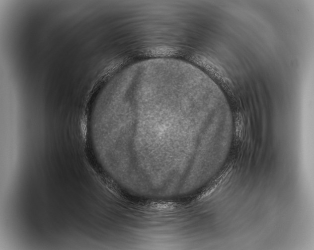 X0000095950206200802081304