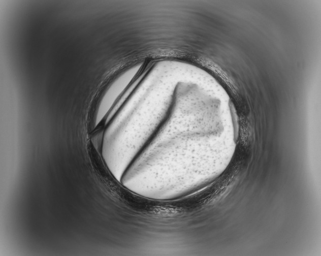 X0000095950207200802081304