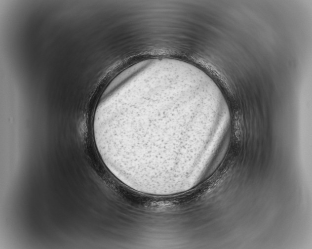 X0000095950208200802081304