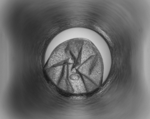 X0000095950209200802081304