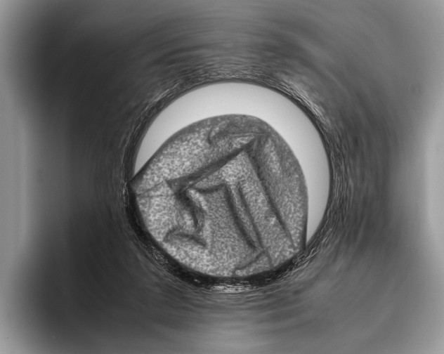 X0000095950211200802081304