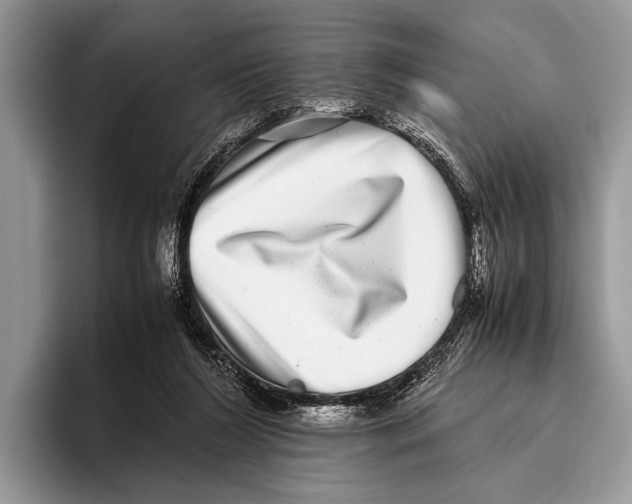 X0000095950212200802081304