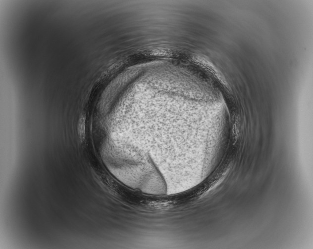 X0000095950213200802081304