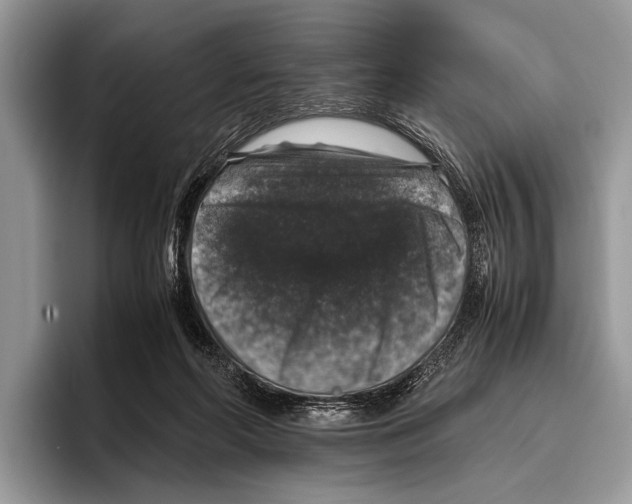 X0000095950214200802081304