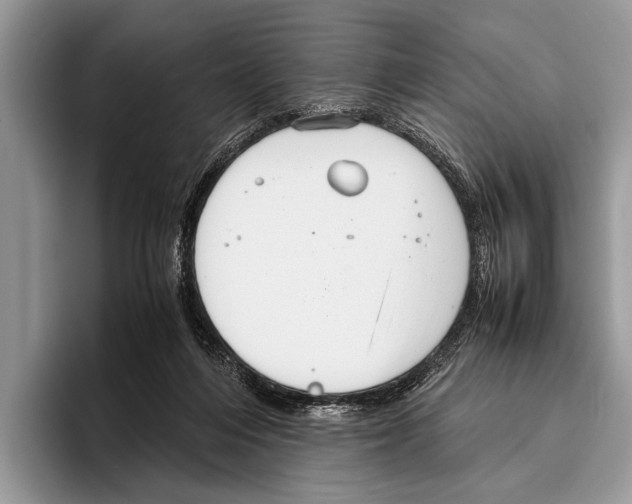 X0000095950216200802081304