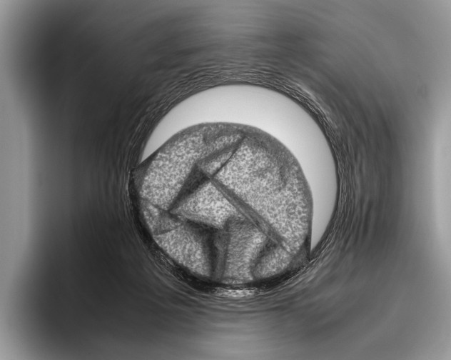 X0000095950217200802081304