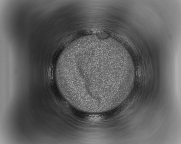 X0000095950218200802081304