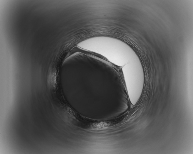 X0000095950219200802081304