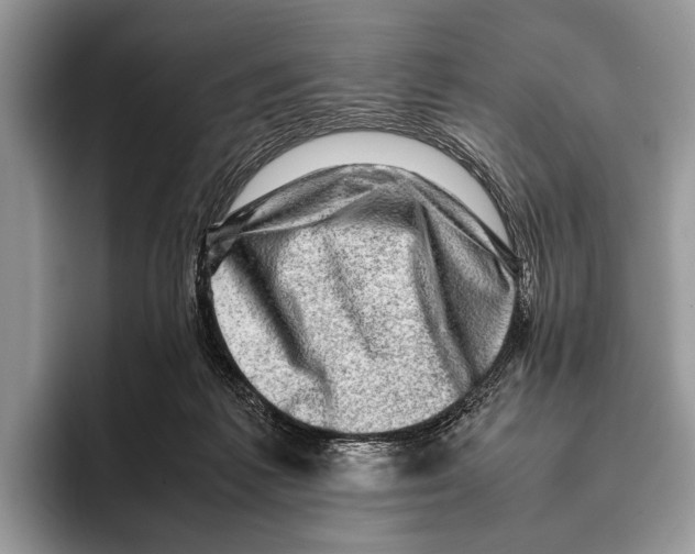 X0000095950221200802081304