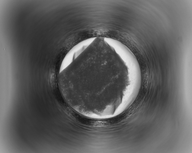 X0000095950222200802081304