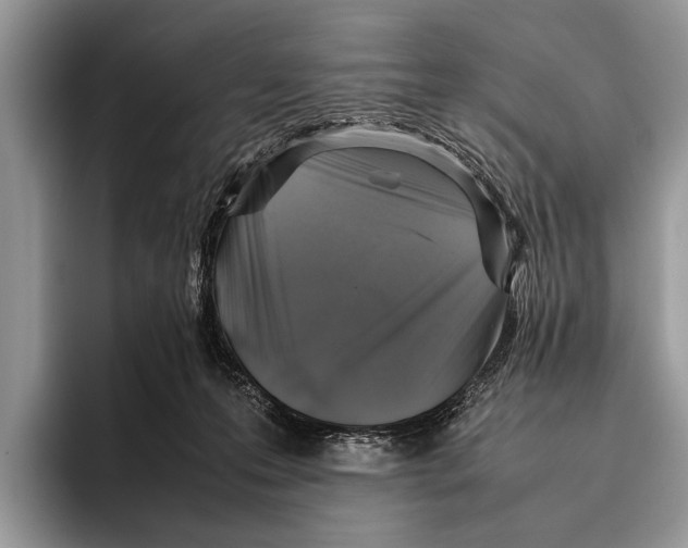 X0000095950223200802081304