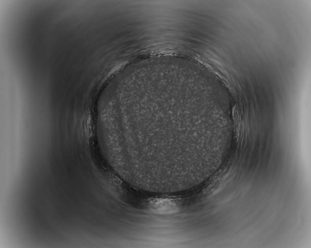 X0000095950224200802081304