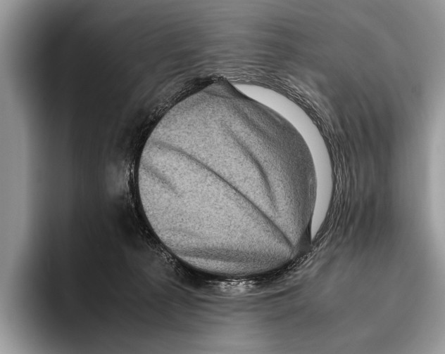 X0000095950225200802081304