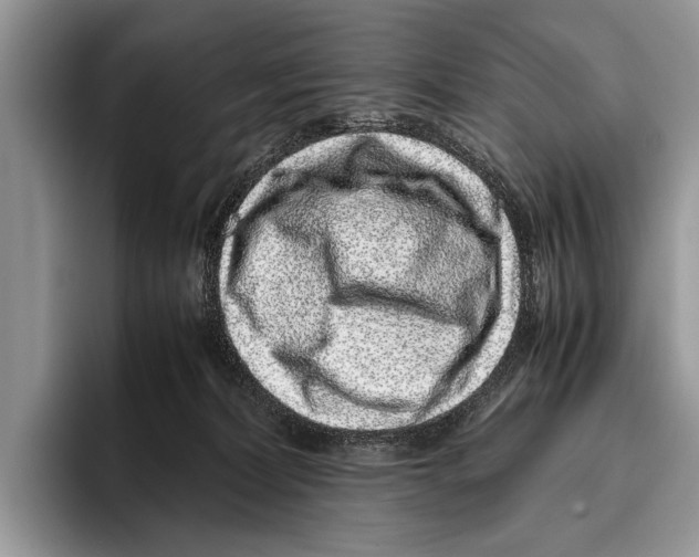 X0000095950228200802081304