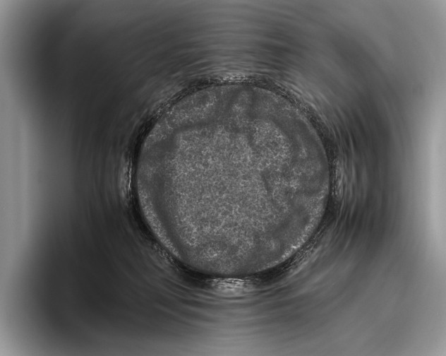 X0000095950230200802081304