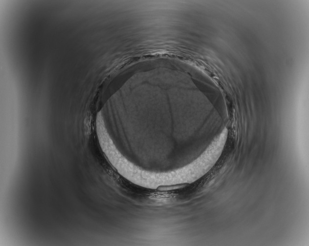 X0000095950231200802081304