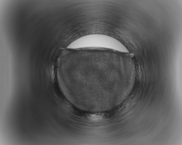 X0000095950232200802081304