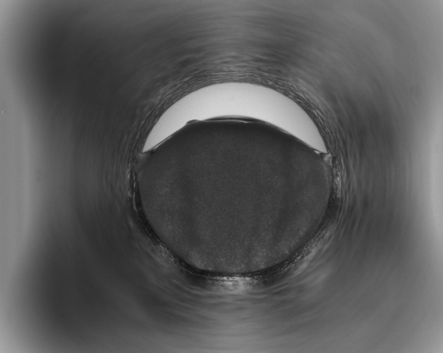 X0000095950233200802081303