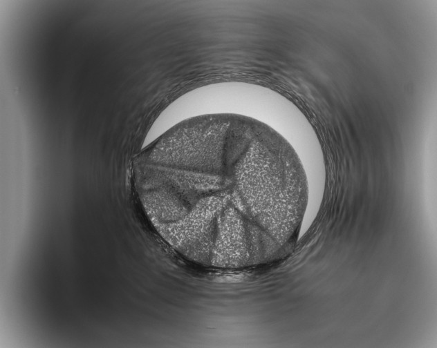 X0000095950235200802081303