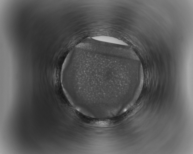 X0000095950236200802081303