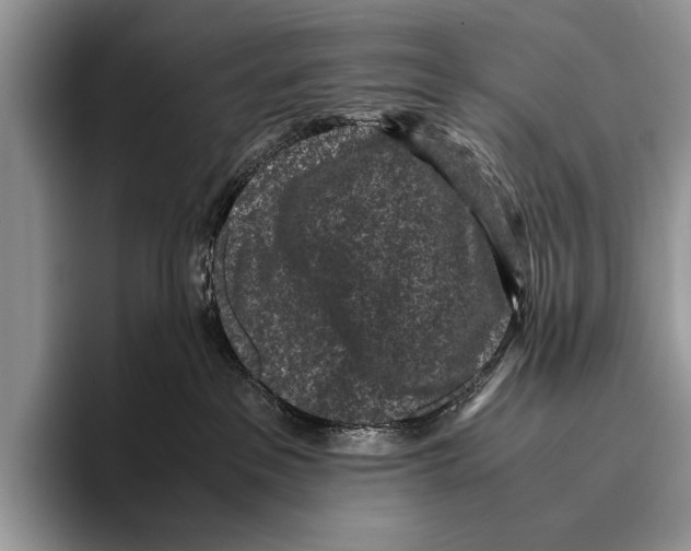 X0000095950237200802081303