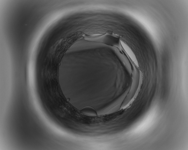 X0000095950239200802081303