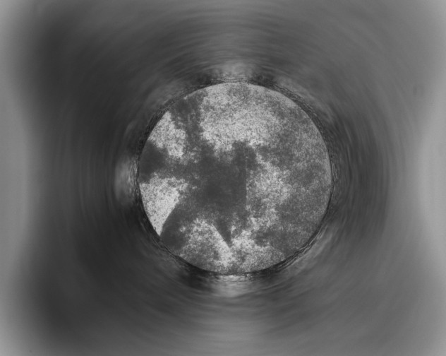 X0000095950240200802081303