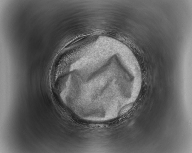 X0000095950242200802081303