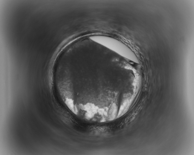 X0000095950247200802081303