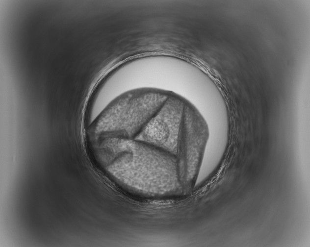 X0000095950248200802081303