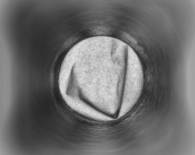 X0000095950250200802081303