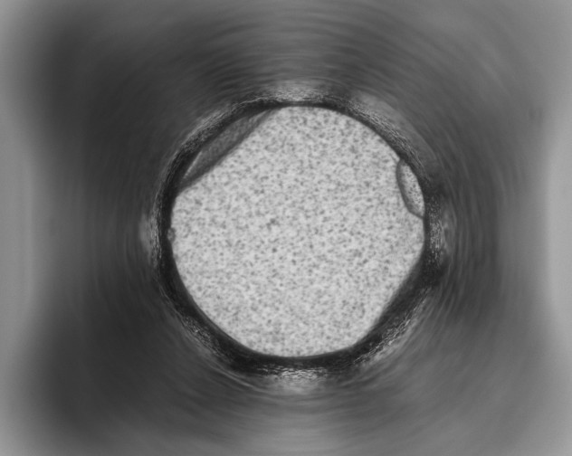 X0000095950256200802081303