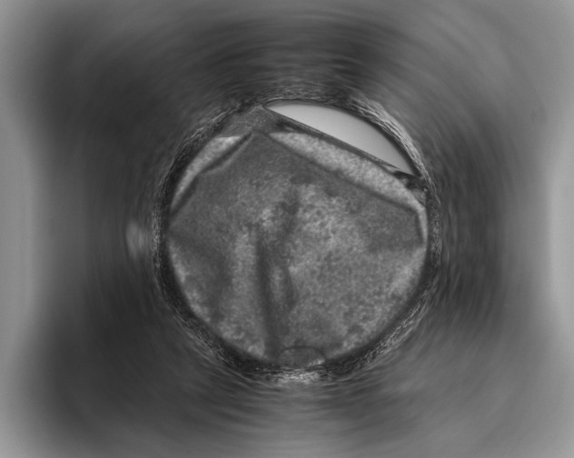 X0000095950257200802081303