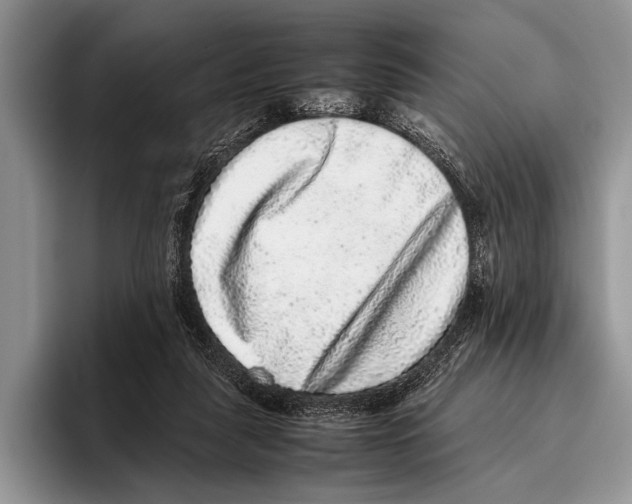 X0000095950259200802081303