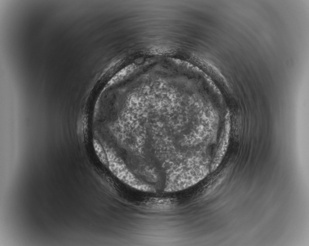 X0000095950260200802081303